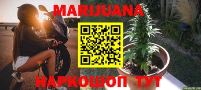 мдпв Гатчина