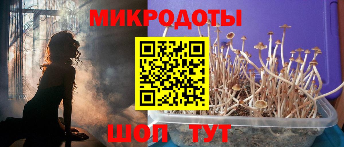 Псилоцибиновые грибы GOLDEN TEACHER Нижневартовск